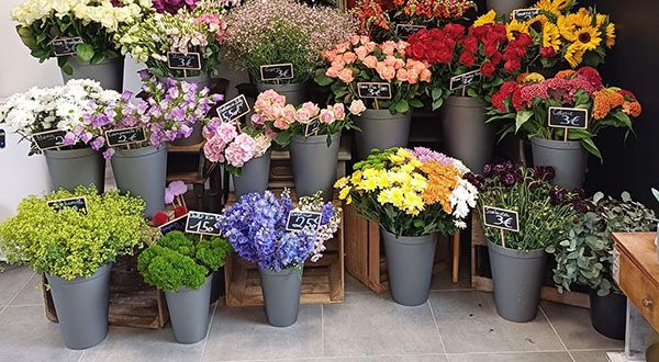 fleurs coupées de différentes couleurs à Audruicq