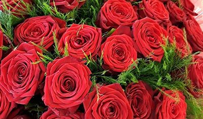 Bouquet de roses rouge à Audruicq